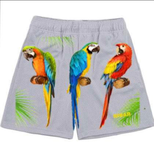 New Creation Macaw Shorts